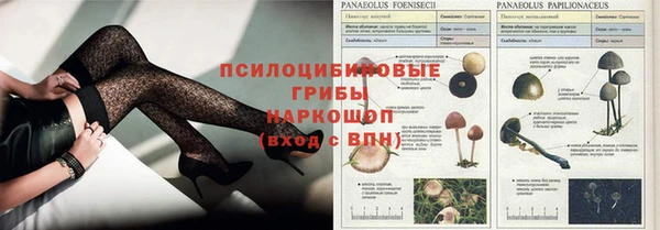 мескалин Нефтегорск
