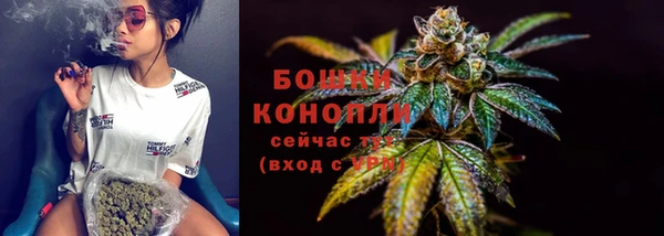 дурь Новодвинск