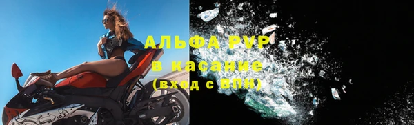 стаф Нефтекумск