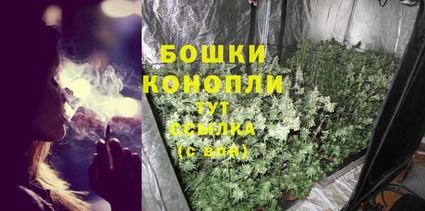 дурь Новодвинск