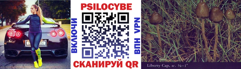 Псилоцибиновые грибы Psilocybe  гидра ТОР  Малаховка 